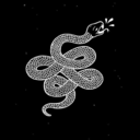 eventsnake avatar