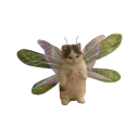 faeriefarms avatar