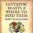 fantasticbeastsdaily avatar