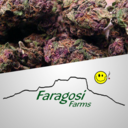 faragosifarms avatar