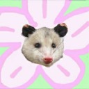 fayrie-opossum avatar