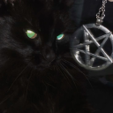 feralghoulie avatar