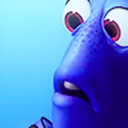 fiindingdory-blog avatar