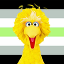 flappy-bigbird avatar