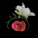 freesia-and-roses avatar