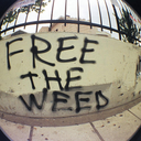 freetheweedforlife avatar