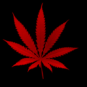 fuckyeahcannabisativa avatar