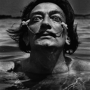 fuckyeahsalvador-dali avatar