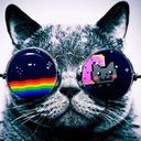 funnycatsposts avatar