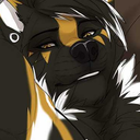 furrydudepj avatar