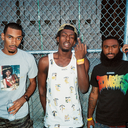 fyflatbushzombies-blog avatar