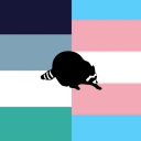 gayraccoonthing avatar