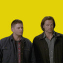 gen-spn avatar