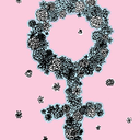 gender-abolition-blog avatar