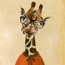 giraffeteacher avatar