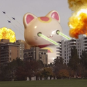 godzillacat avatar