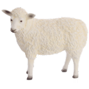 googlelamb avatar