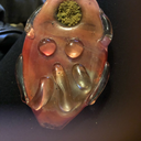 grapeblunts avatar