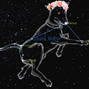 greater-dogstar avatar