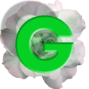 guysnroses avatar