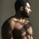 hairybearlystuff avatar