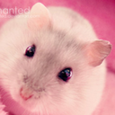 hamstercosplay avatar