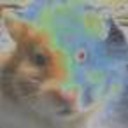 hamstertron avatar