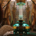 hedgehog-in-the-tardis avatar