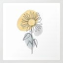 helianthus-cal avatar