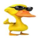 horizontallylengthenedchicken avatar