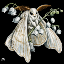 horny-moth avatar