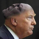 hptrumpmemes avatar