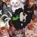 hsmeowbeast avatar