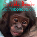 inbonobo avatar