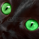 irishblackcat avatar