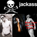 jackass-girl257 avatar