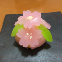 japanese-sweets-2010 avatar