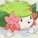 jayshaymin avatar