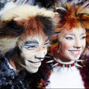 jellicle-love-for-jellicle-ships avatar