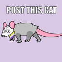 just-a-possum avatar