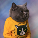 katzenwaesche avatar