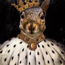 kingofsquirrels-blog avatar