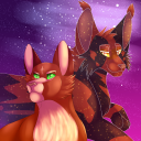 kipswarriorcats avatar