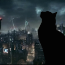 kitteningotham avatar