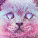 kittycad avatar