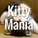 kittymania4u avatar