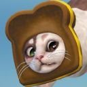 kittypaws avatar