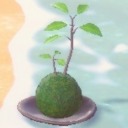 kokedama-mama avatar