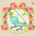 kootbirbs avatar