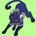 koshkathecat avatar